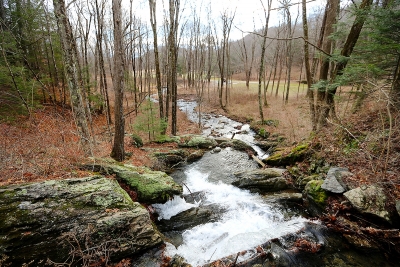 Waterfall gushes as Spring time draws near in the WOA Dover property